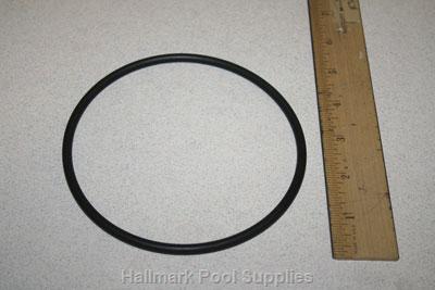 DYNAMO Strainer Cover O-ring