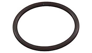 Pentair Optiflo Pot to Volute O-Ring 350103
