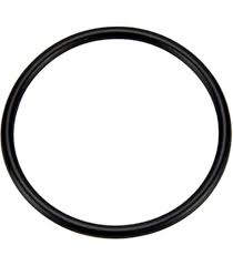 Pentair Dynamo Seal Plate O-Ring 354634Z