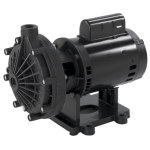 .75HP 115/230V Booster Pump