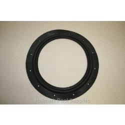 EC40/EC50A Diaphragm Gasket