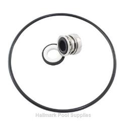 VL40 SERIES PUMP Shaft Seal & Body Oring