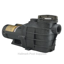 3HP 230V UR Super Ii Pump