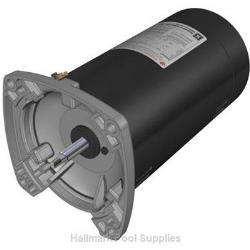 1HP MAXFLO Thrd Shaft Fr Motor