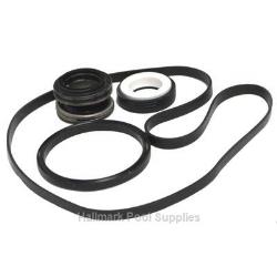 SUPER II PUMP Seal Assy Kit