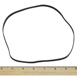 5060 BOOSTER PUMP Ribbon Gasket