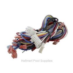 240V H-SERIES Low Nox Wire Harness Main