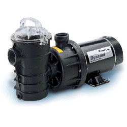 2HP 115V DYNAMO Pump W/ 3' Cord