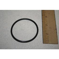 TAGELUS/ CHALLENGER Strainer Pot Flange Oring