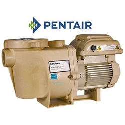 WhisperFlo VST Variable Speed 2.6HP Pool Pump